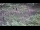 Webcam in Milford, Ohio, 102.5 km