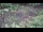 Webcam in Milford, Ohio, 45.2 mi away