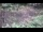 Webcam in Milford, Ohio, 117.2 km