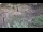 Webcam in Milford, Ohio, 9.6 mi away