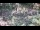 Webcam in Milford, Ohio, 73.7 mi away