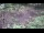 Webcam in Milford, Ohio, 70.7 mi away