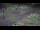 Webcam in Milford, Ohio, 95.5 km
