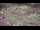 Webcam in Milford, Ohio, 39.6 mi away