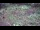 Webcam in Milford, Ohio, 24.6 mi away