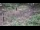 Webcam in Milford, Ohio, 24.6 mi away