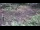 Webcam in Milford, Ohio, 38.3 mi away