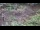 Webcam in Milford, Ohio, 26.6 mi away