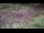 Webcam in Milford, Ohio, 8.6 mi away