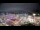 Webcam in Carmel, Indiana, 91.9 km entfernt