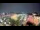 Webcam in Carmel, Indiana, 34.6 mi away