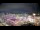 Webcam in Carmel, Indiana, 8.5 mi away