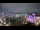 Webcam in Carmel, Indiana, 29.6 mi away