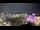 Webcam in Carmel, Indiana, 15.2 km entfernt