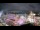 Webcam in Carmel, Indiana, 34.9 km