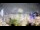 Webcam in Carmel, Indiana, 73.6 mi away