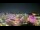 Webcam in Carmel, Indiana, 13.9 mi away