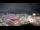 Webcam in Carmel, Indiana, 22.1 km