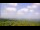 Webcam in Fayetteville, Arkansas, 310 km
