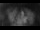 Webcam in Jork, 4.8 km entfernt