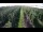 Webcam in Jork, 7 km