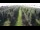 Webcam in Jork, 50.6 km entfernt