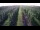 Webcam in Jork, 47.2 km entfernt
