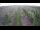 Webcam in Jork, 19.5 mi away