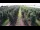 Webcam in Jork, 1.9 mi away
