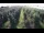 Webcam in Jork, 15.7 km