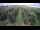 Webcam in Jork, 17.7 km entfernt