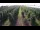 Webcam in Jork, 17.7 km entfernt