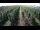 Webcam in Jork, 7 km entfernt
