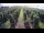 Webcam in Jork, 5.3 mi away