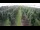 Webcam in Jork, 47.2 km