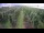 Webcam in Jork, 4.8 km