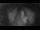 Webcam in Jork, 4.2 km