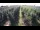 Webcam in Jork, 50.6 km