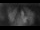 Webcam in Jork, 13.3 km entfernt