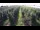 Webcam in Jork, 6.6 mi away