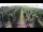 Webcam in Jork, 15.7 km