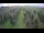 Webcam in Jork, 4.8 km entfernt