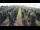 Webcam in Jork, 5.3 mi away