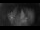 Webcam in Jork, 47.2 km entfernt