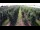 Webcam in Jork, 1.9 mi away