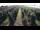 Webcam in Jork, 4.8 km