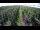Webcam in Jork, 4.8 km