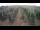 Webcam in Jork, 13.8 km