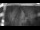 Webcam in Jork, 13.3 km