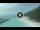 Webcam in Île Meeru (Atoll Malé Nord), 26.2 km